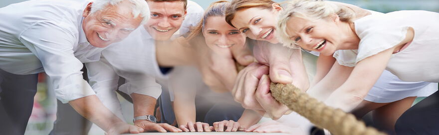 Mangelnder Zusammenarbeit,  unterschiedlichen Werte- und Zielvorstellungen - Teambildung, Teamcoaching  und Workshops für die Teamentwicklung - The Good Solution GmbH - www.the-good-solution.com