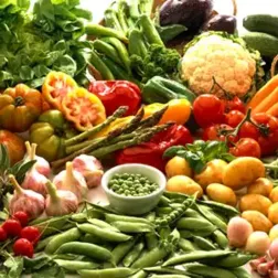 Betriebliche Gesundheitsförderung und betriebliche Gesundheitsprogramme: Ernährung, Gewichtsprobleme – Vorträge und Seminare – The Good Solution GmbH - www.the-good-solution.com