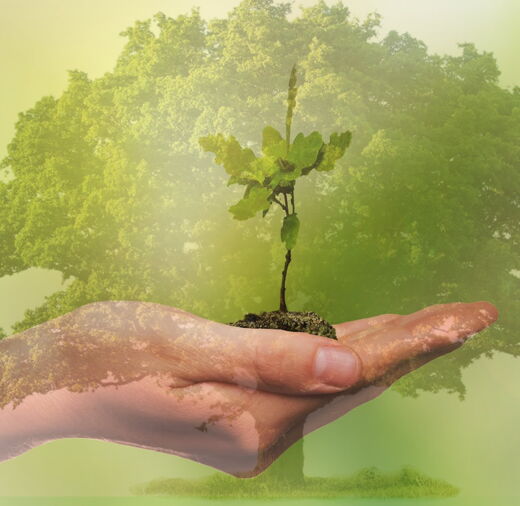 Mit Systemischen Aufstellungen zu nachhaltigen Lösungen - The Good Solution GmbH - www.the-good-solution.com