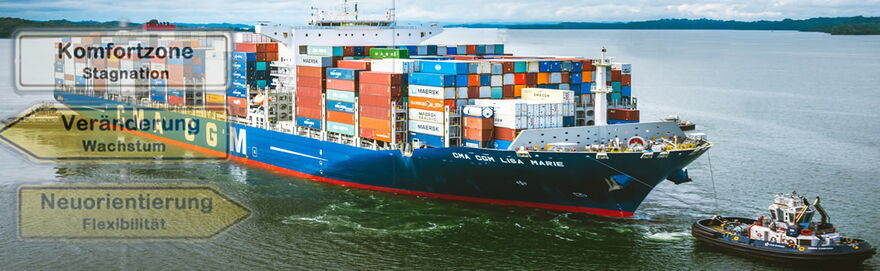 Selbstmanagement mit Beratung, Coaching, Mental Sparring, verbales Sparring, Mentoring & Seminare - The Good Solution GmbH - www.the-good-solution.com