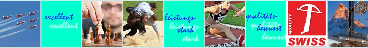 The Good Solution GmbH die Berater für: Betriebsklima, Change Management, Fehlzeiten, innerbetriebliche Kommunikation, Konflikte, Mobbing, Motivation, Personalfluktuation, Reibungsverluste - excellent, leistungsstark, qualitätsbewusst www.the-good-solution.com