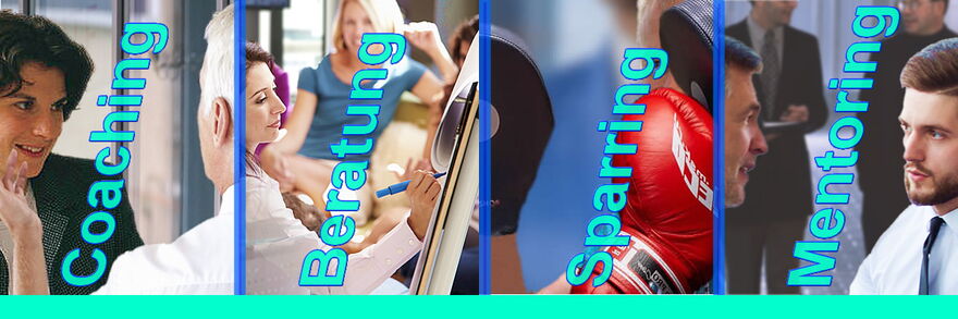 Coaching, Mental-Sparring, Mentoring, Beratung, Begleitung und Workshops - The Good Solution GmbH - www.the-good-solution.com