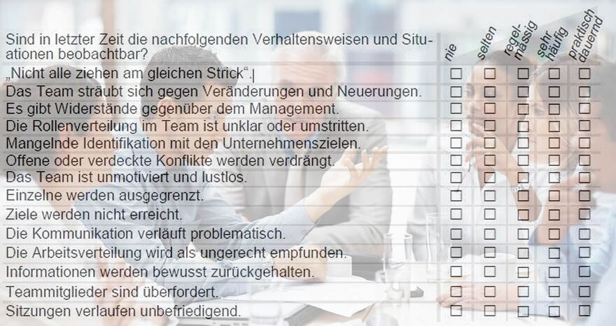 Teamcoaching, Teamentwicklung - Check - Situationsanalyse - das Team ausrichten - The Good Solution GmbH - www.the-good-solution.com