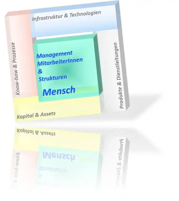 Der Mensch im Mittelpunkt der Organisation - Unsere Angebote: Coaching, Teamcoaching, Beratung, Mental Sparring, Mentoring, Projektbegleitung, Monitoring - The Good Solution GmbH - www.the-good-solution.com